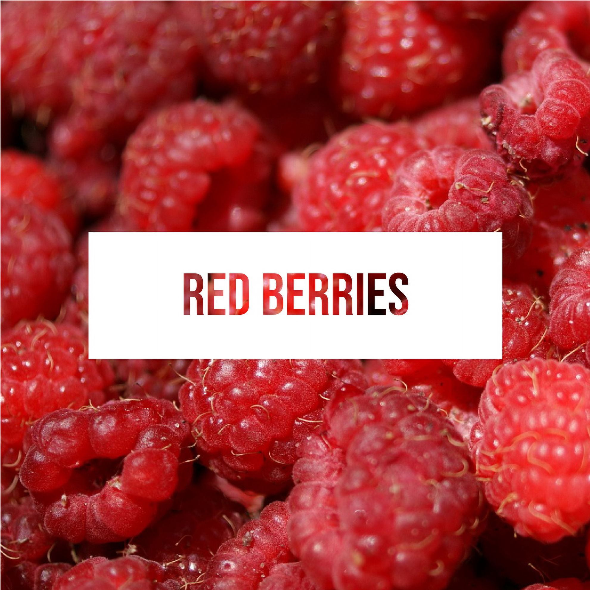 Exotica Car Air Freshener | Spill-proof Can | Organic | For Home & Auto | Long Lasting Freshness | (Pack of 12) (Rasberries)