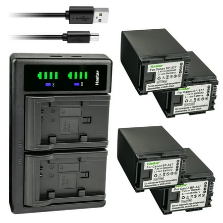 Kastar 4-Pack Battery and LTD2 USB Charger Replacement for Canon VIXIA HF M40 HFM40 VIXIA HF M41 HFM41 VIXIA HF M46 HFM46 VIXIA HF M400 HFM400 VIXIA HF M406 HFM406 VIXIA HF S10 HFS10