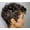 picture color, variant on Short Pixie Cut Wigs Curly Wigs for Women Synthetic Hair Wigs Natural Looking Heat Resistant Fiber