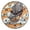 Black, variant on Eagle Wall Clock Modern Small Clock Black Hands for Office, Home, Bedroom,School 9.84in