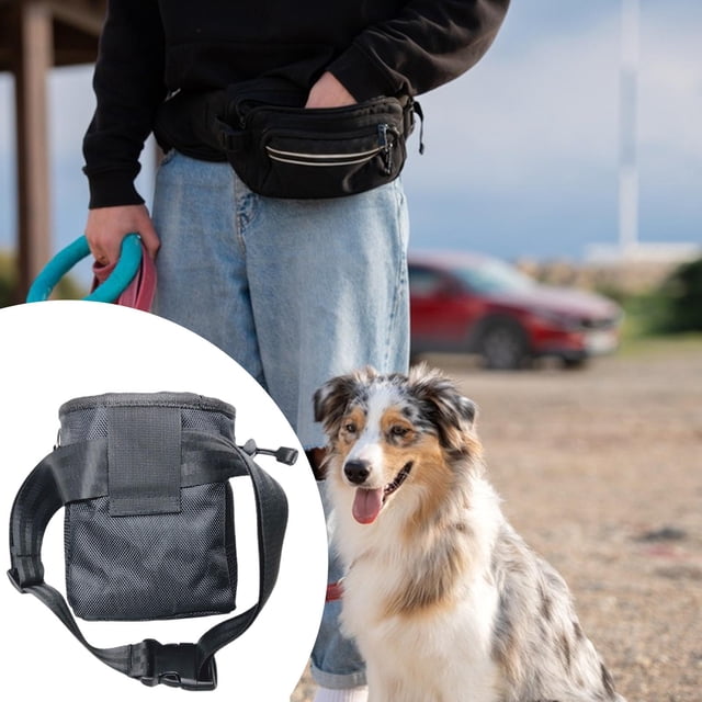 Bolsa de para perros, riñonera para pasear perros, bolsa compacta de recompensa para cachorros, contenedor de recompensa para entrenamiento de Puede sostener el teléfono