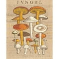 thumbnail image 3 of Wild Apple Portfolio 12x14 Black Modern Framed Museum Art Print Titled - Funghi Velenosi II, 3 of 5
