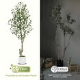 thumbnail image 5 of Artificial Olive Trees Indoor, Tall Faux Plants with Lifelike Olive Fruits and Dense Leaves, Faux Plants in Imitation Ceramic, Perfect for Modern Home Decor, 5 of 11