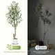 thumbnail image 5 of Yeshouse Panel de pared de vegetación artificial, pared decorativa de enredaderas entrelazadas, decoración de pared para interiores y exteriores, varios, 5 of 7