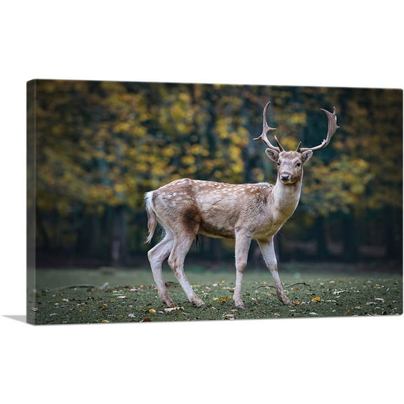 ARTCANVAS Deer In Forest Home decor Canvas Art Print - Size: 26" x 18" (0.75" Deep)