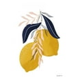 thumbnail image 2 of Thorns, Becky 23x32 White Modern Wood Framed Museum Art Print Titled - Lemons II No Wedge, 2 of 4