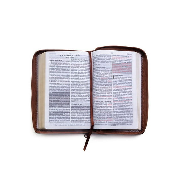 Santa Biblia de Promesas Reina-Valera 1960 / Tamaño Manual / Letra Grande / Piel Especial Con Cierre / Café // Spanish Promise Bible Rv60 / Handy Size / Large Print / Leathersoft with Zipper / Brown (