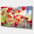 thumbnail image 2 of Belle Vue de Fleurs de Coquelicot Rouge - Impression sur Toile Florale, 2 of 3