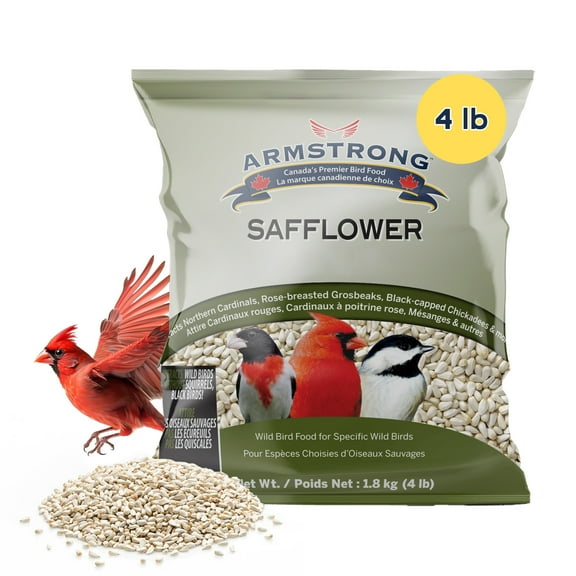 Armstrong Wild Bird Food Safflower Bird Seed, 4 Pounds - for Northern Cardinals, Rose-Breasted Grosbeaks and Black-Capped Chickadees - Ideal for Outside Feeders