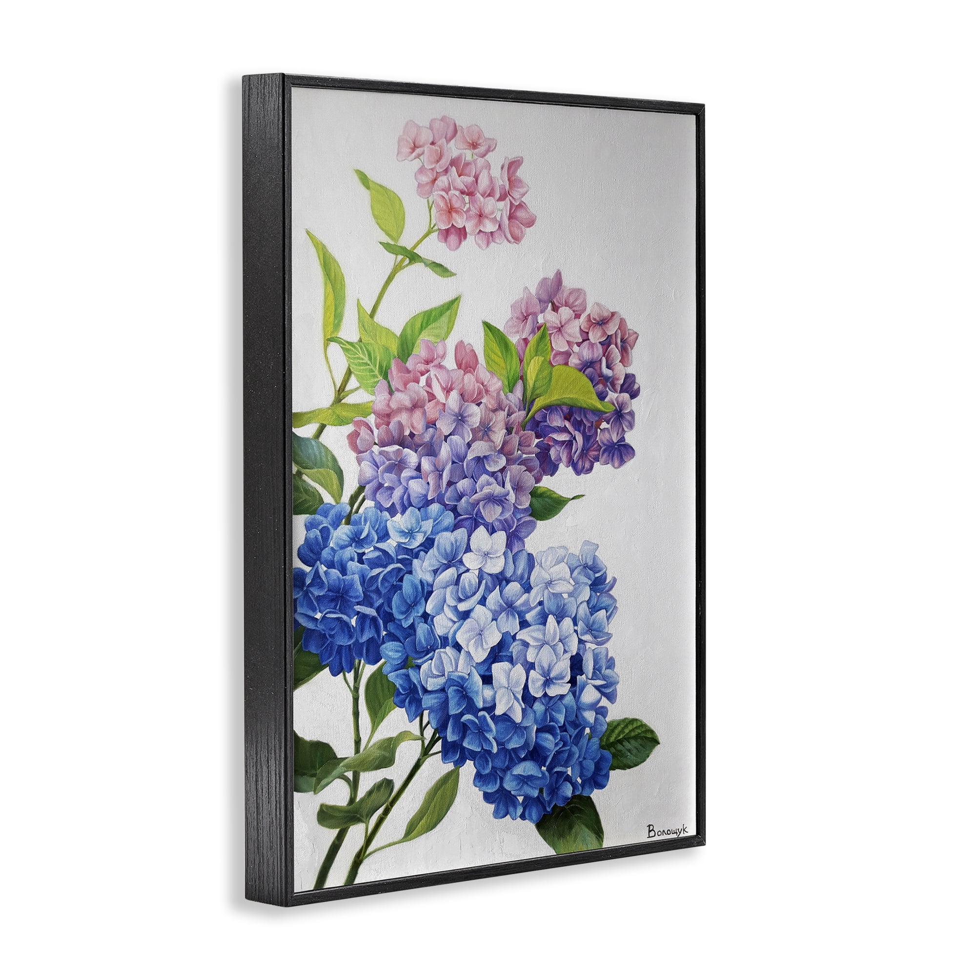 Stupell Industries Detailed Hydrangea Gradient Botanical & Floral Painting Black Framed Art Print Wall Art, 20 x 30
