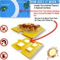 AntPad Ant Proof for Food Dish Ant Proof Dog Cat Pet Bowl Desktop Plant Pots and Bins No