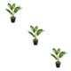 thumbnail image 4 of Planta de tortuga Billuyoard ecológica de bajo mantenimiento artificial para decoración de hogar y oficina, 4 of 6