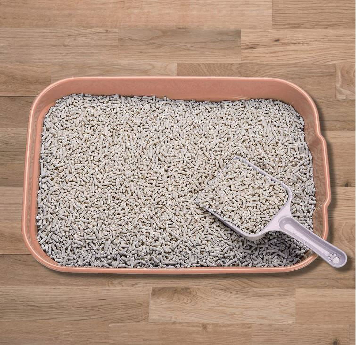 GreenJoy Kitty Litter Box Starter Kit - Without Lid Cat Litter Pan, Mat, Scoop and Bowl for Kitten
