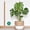 28in * 1, variant on Moss Pole Monstera Plant Support, 28in Bendable & Sturdy Plant Holder Stick for Pothos Vines, Philodendron, Fishbone Cactus & Indoor Tropical Houseplants, Made for Coco Coir