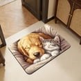 thumbnail image 4 of Alfombra de Baño Delgada Debajo de la Puerta Ajusta 24x16 en Alfombra de la Puerta de Entrada Alfombra Alfombra de Pie Antideslizante Del Hogar Alfombra a Prueba de Suciedad para Dormitorio Porche Pas, 4 of 6