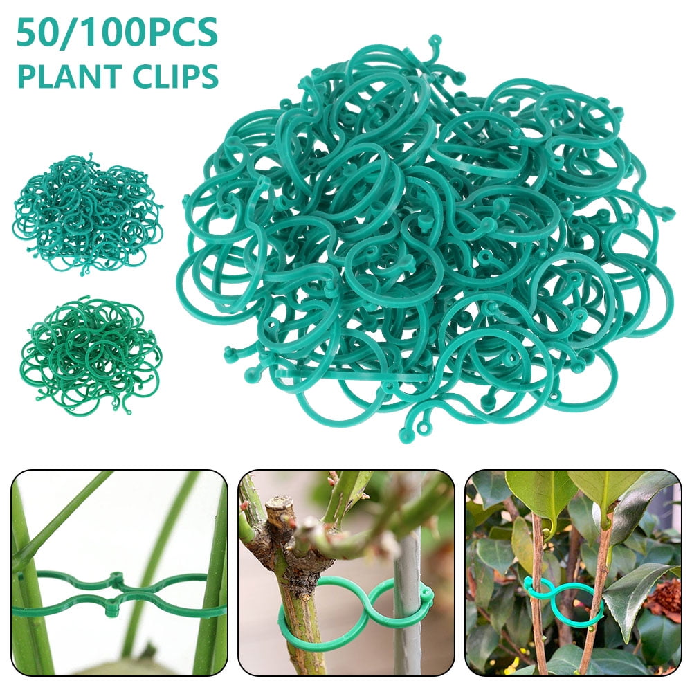 Details about   100/50 Plant Support Greenhouse Clips Twist Vine Stems Flower Grow Upright Clamp 