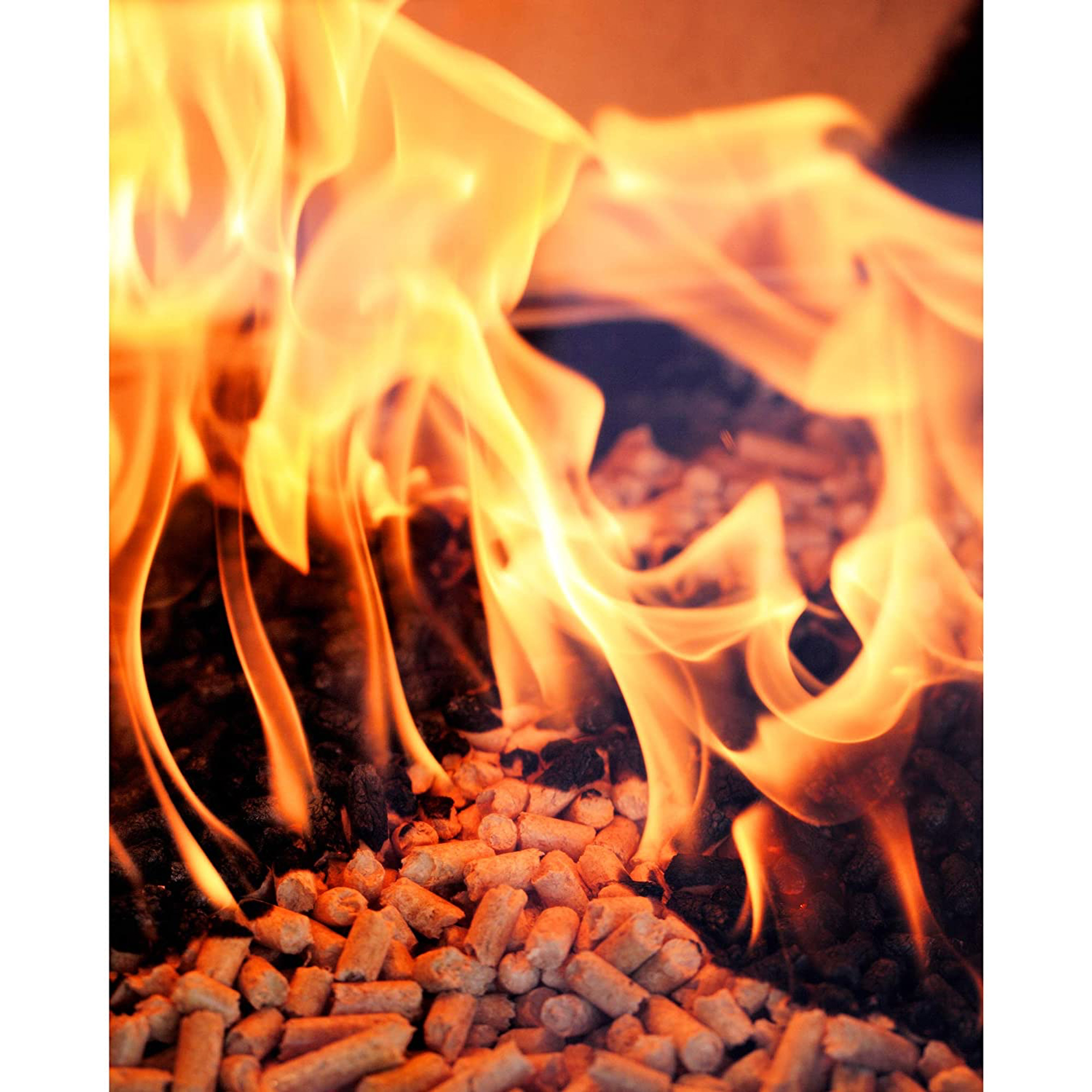 Green Mountain Grills Premium Apple Pure Hardwood Grilling Cooking Pellets - image 2 of 3