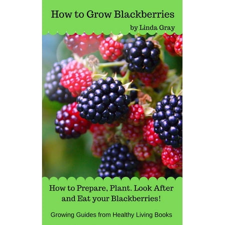 How to Grow Blackberries - eBook (Best Way To Grow Blackberries)