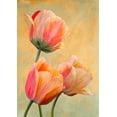 thumbnail image 2 of Villa, Luca 24x32 White Modern Wood Framed Museum Art Print Titled - Golden Tulips I, 2 of 4