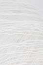 Ivory (# 3401)