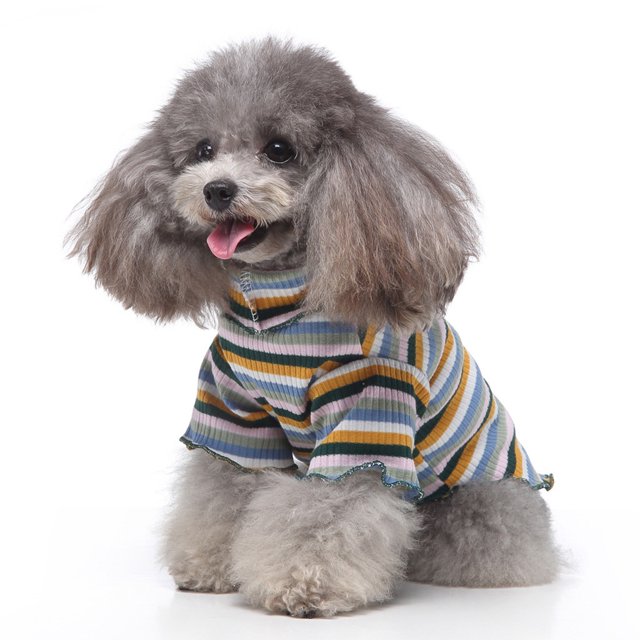 Xihbxyly Artículos de Clarence Lo Mas Lindo Del Mundo de Patas y Mascotas.