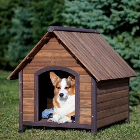 En Dog Food Reviews En Dog Food Reviews
