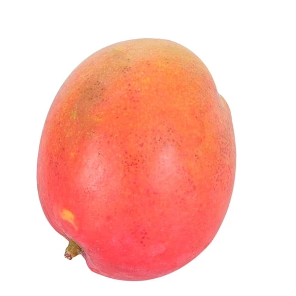 Mango paraíso por kilo