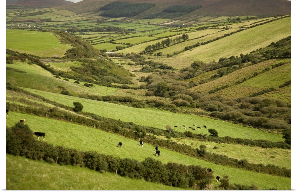 Great BIG Canvas "Irish Countryside, Ireland, Farms, Landscape