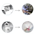 thumbnail image 2 of 2PCS Cat Chew Toy Rattan Ball Bell Pet Play Toy Cat Interactive Toy for Kitten, 2 of 10