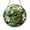 Acrylic 3.5 Inch, variant on Green Caterpillar on Leaf Window Suncatcher, Stained Glass Style Nature Hanging Decor, Cute Garden Inspired Gift