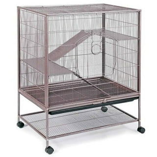 Rat Cages in Rats Walmart