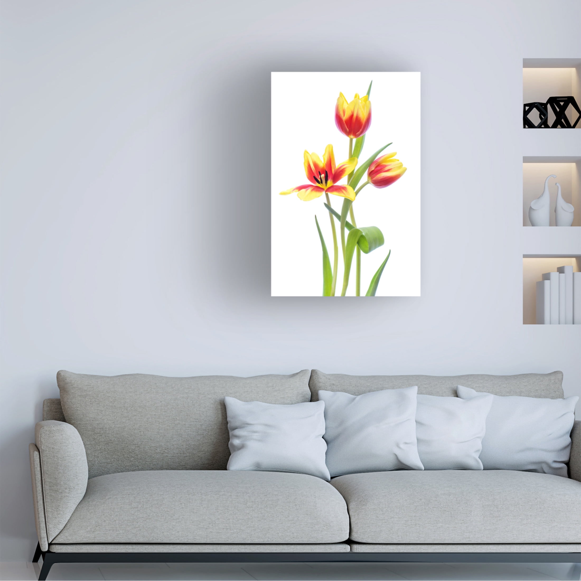 Canvas Wall Art - Jacky Parker 'Spring' Wall Art for Living Room, Bedroom, or Office Décor by Trademark Fine Art - 12 x 19 Inches