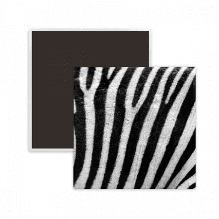 

Pinto Feather Design Square Ceracs Fridge Magnet Keepsake Memento