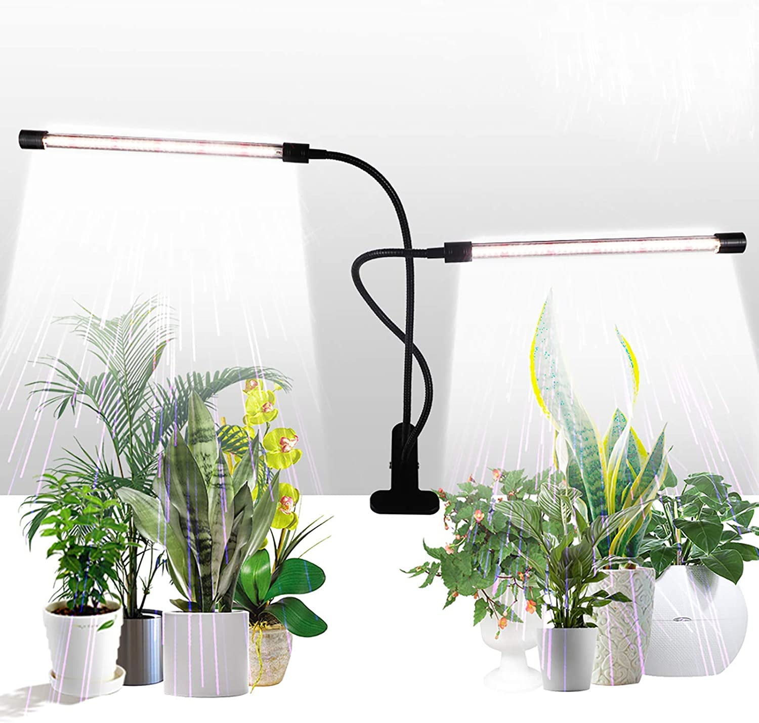Luz de interior para cultivar plantas.