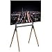 thumbnail image 3 of VIVO Chevalet Artistique 49 à 70 Pouces Écran LED LCD, Support d'Affichage TV Studio, Support TV Réglable avec 4 Pieds STAND-TV70A, 3 of 4