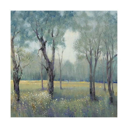 Art Tin - Morning Mist Print Wall Art By Tim OToole