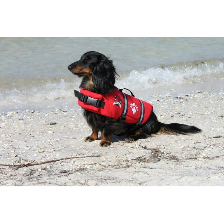 Paws Aboard Dog Life Jacket Keep Your Canine Safe with a Neoprene Life Vest Designer Life Jackets Perfect for Swimming and Boating Red Medium