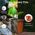 thumbnail image 3 of 36 Packs Clear Nursery Pots with Drainholes, Jorking 7/5/4/3.5 Inch Plastic Plant Pot Variety Pack Reinforced for Seedling Succulent Flower, 3 of 6