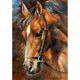 thumbnail image 1 of Otros kits de pintura de diamante de caballo DIY decorativos de pared para adultos y principiantes, kits de pintura de diamante redondo 5D Kits de arte de diamante de caballo Pintura de taladro c, 1 of 5