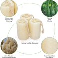 thumbnail image 3 of FNNMNNR Natural Exfoliating Loofah Sponge - eco Friendly Organic Loofah Luffa Sponges  Body Scrubber for Shower Scrubbing  Egyptian Real Loofa  Bath Puff for Bathing  Spa  Massaging Daily, 3 of 7