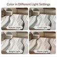 thumbnail image 7 of ODIKA 8'x10' Ultra-Soft Area Rug, Under Plush Sweeping Neutral Gradient Artful Composition Grey None Washable, Bare feet friendly, Silk-Touch for Bedroom, Under Sectional, 7 of 7