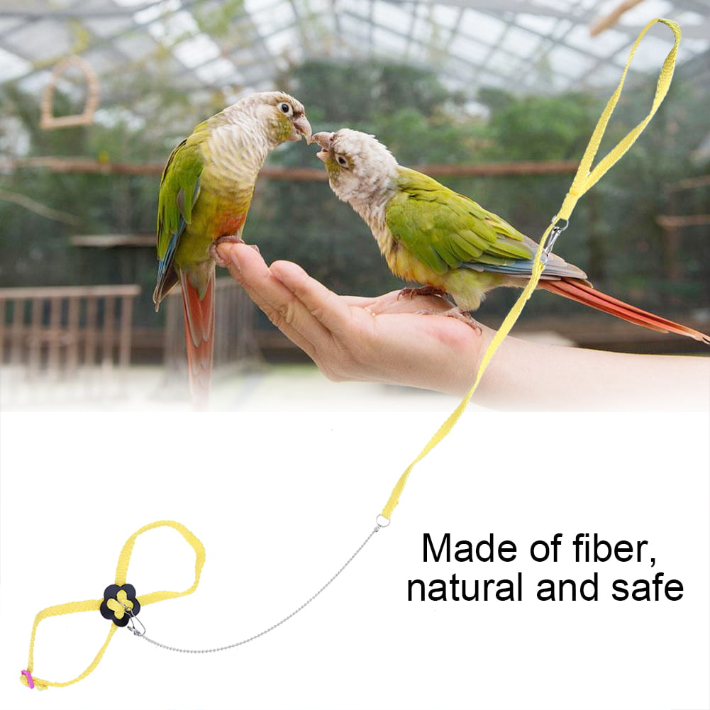 Fit for Macaw Cockatoos Parrot Medium to Large Breed Parrots Fits Birds Chest Between Adjustable Bird Harness Leash Kit Bird Harness and Leash Kit Adjustable Anti-Bite 