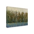 thumbnail image 2 of Trademark Fine Art 'By the Tall Grass I' Canvas Art by Tim OToole, 2 of 4