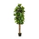 thumbnail image 1 of PLANTA ARTIFICIAL ARBOL LIRA 180 cm, 1 of 2
