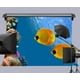 thumbnail image 1 of Fondo de fotografía ABPHQTO Peces de fondo marino 150x220cm, 1 of 2