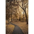 thumbnail image 3 of Orlando 17x24 Black Modern Framed Museum Art Print Titled - Wooded Path, 3 of 5