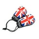 thumbnail image 1 of Accesorios de fotografía recién nacido de 10cm, Mini guante de boxeo de simulación, guantes con bandera de boxeo, 1 of 5