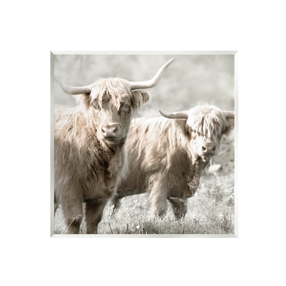 Stupell Industries Highland Cattle Pair Grazing Photograph Unframed Art Print Wall Art, Design by Danita Delimont