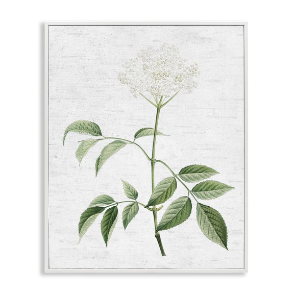 Stupell Industries Subtle Neutral Flower Botanical & Floral Painting White Framed Art Print Wall Art, 16 x 20