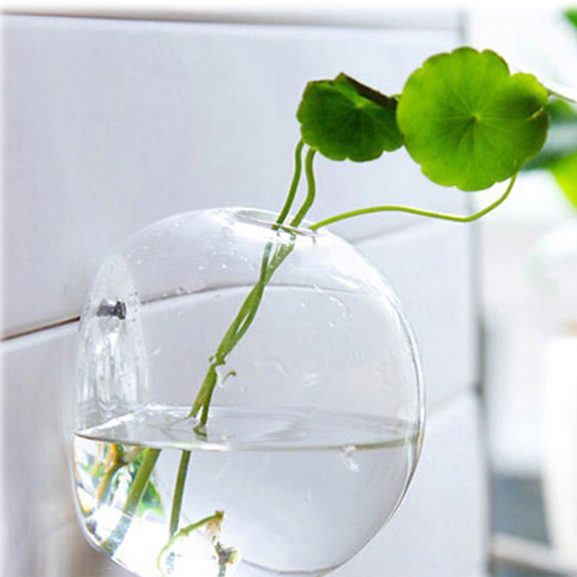 Glass Wall Hanging Vase Water Culture Plant Bottle Fish Tank Home Decoration US 